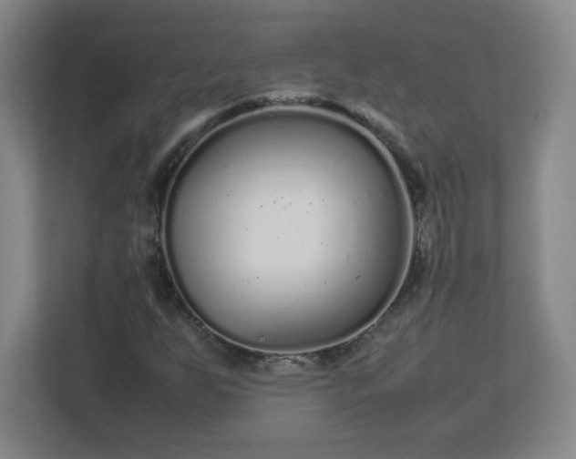 X0000113041255200909031305