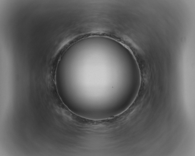 X0000113041256200909031305