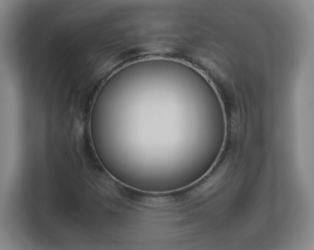 X0000113041257200909031305