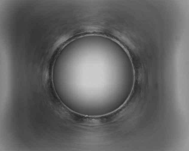 X0000113041261200909031305