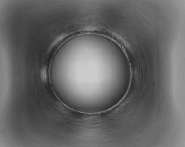 X0000113041262200909031305