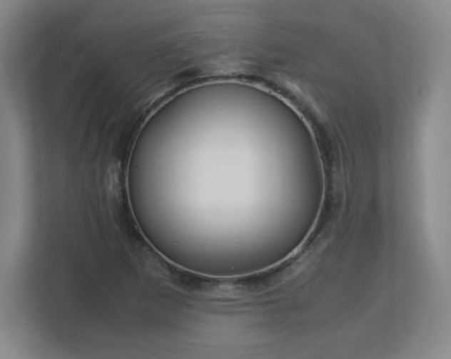 X0000113041265200909031305