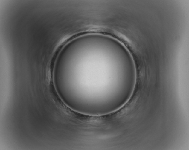 X0000113041267200909031305