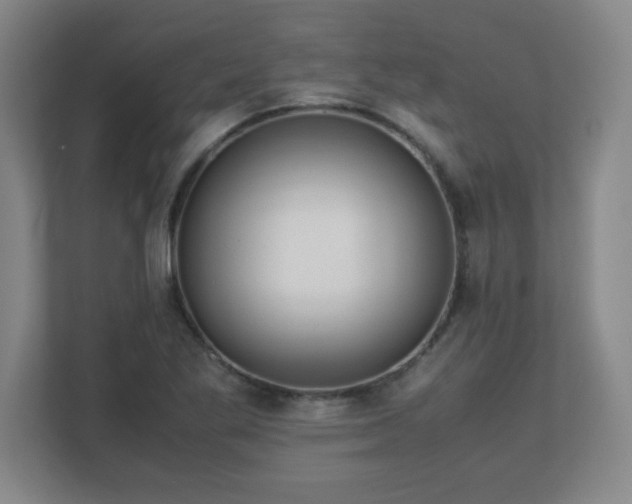 X0000113041269200909031304