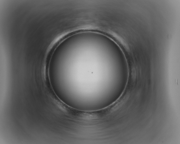 X0000113041270200909031304