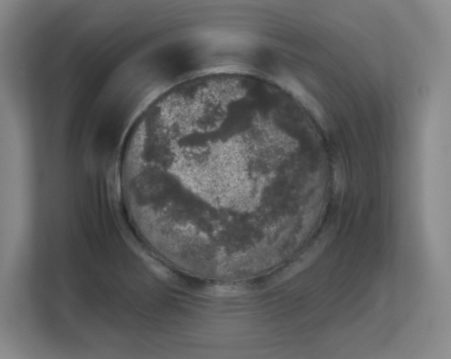 X0000113041274200909031304