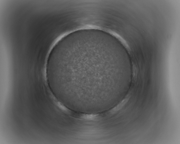 X0000113041278200909031304
