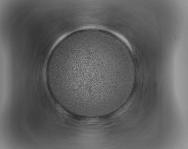 X0000113041279200909031304