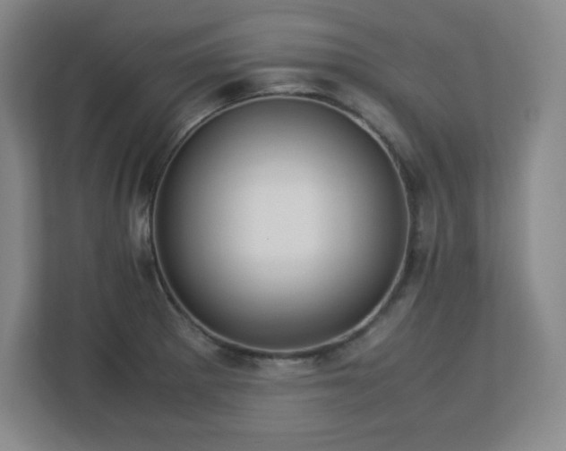 X0000113041281200909031304