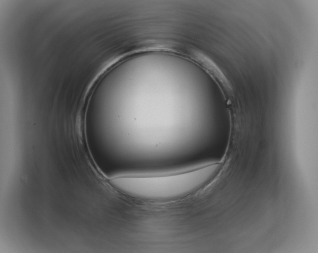 X0000113041284200909031304