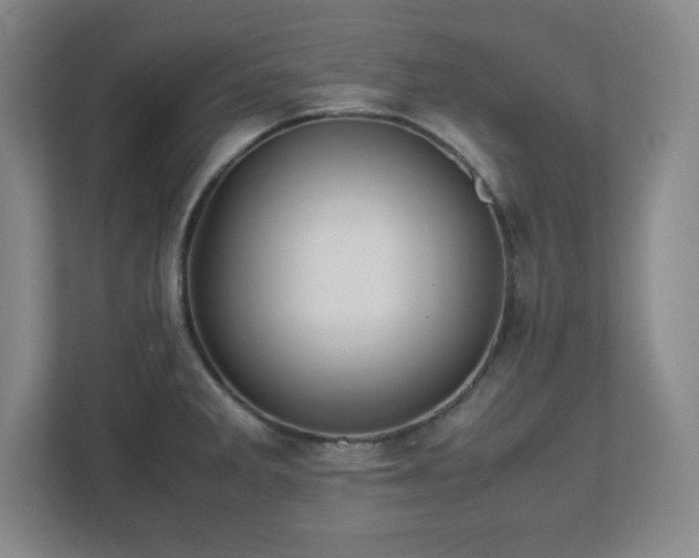 X0000113041285200909031304