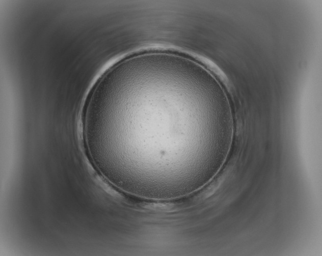 X0000113041287200909031304
