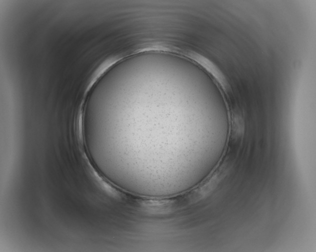 X0000113041290200909031304