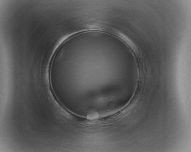 X0000113041291200909031304