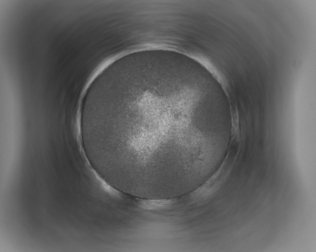 X0000113041294200909031304