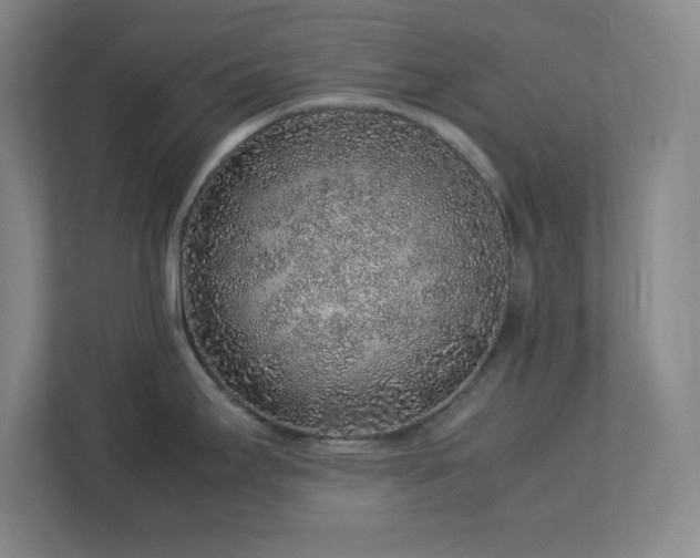 X0000113041295200909031304