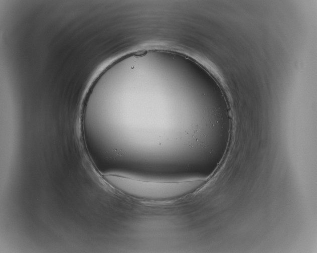 X0000113041296200909031304