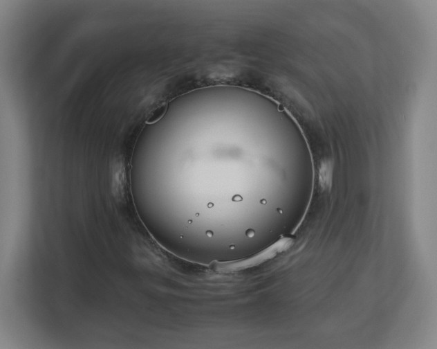 X0000113041299200909031304