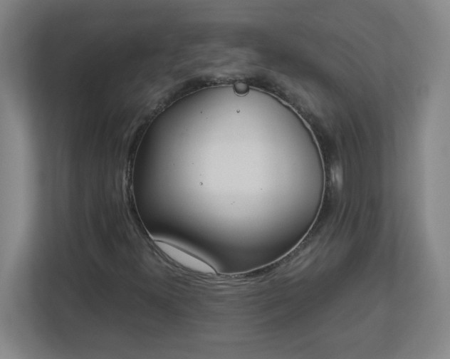 X0000113041300200909031304