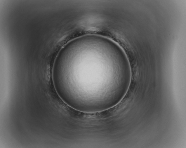 X0000113041301200909031304