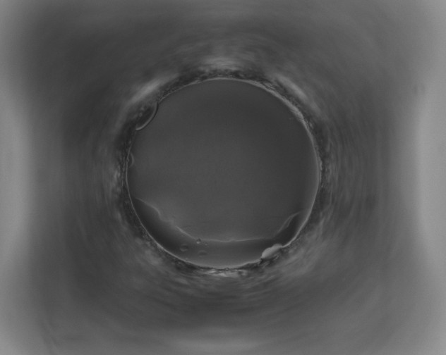 X0000113041303200909031304