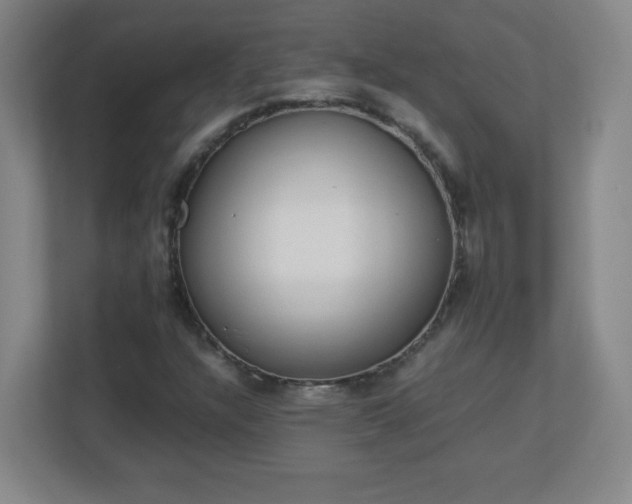 X0000113041304200909031304