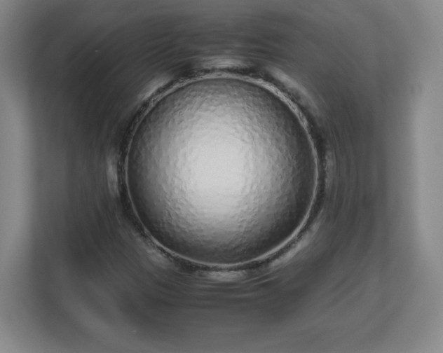 X0000113041305200909031304