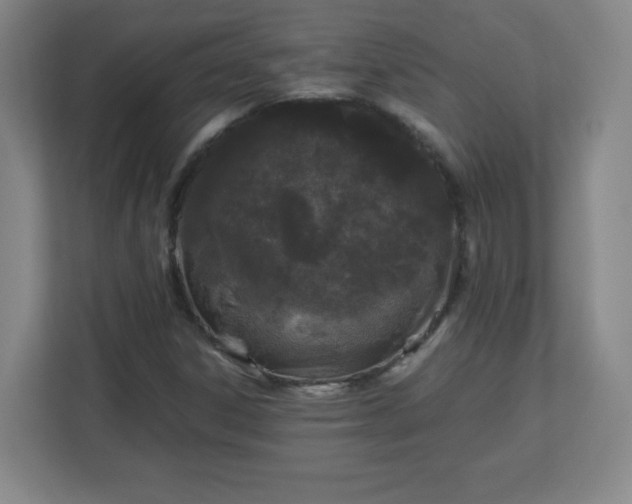 X0000113041306200909031304