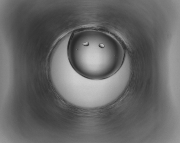 X0000113041308200909031304