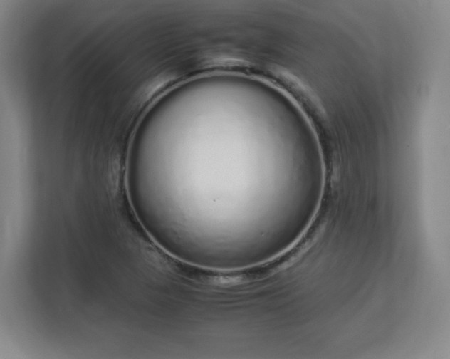 X0000113041313200909031304