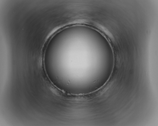 X0000113041316200909031304