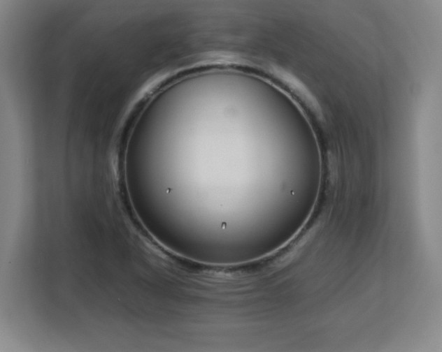 X0000113041318200909031304