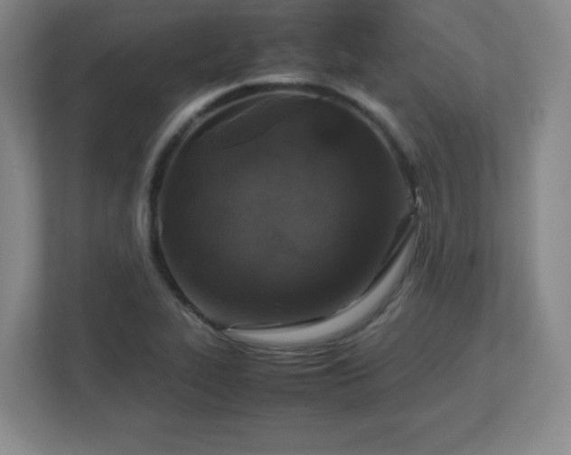 X0000113041319200909031304