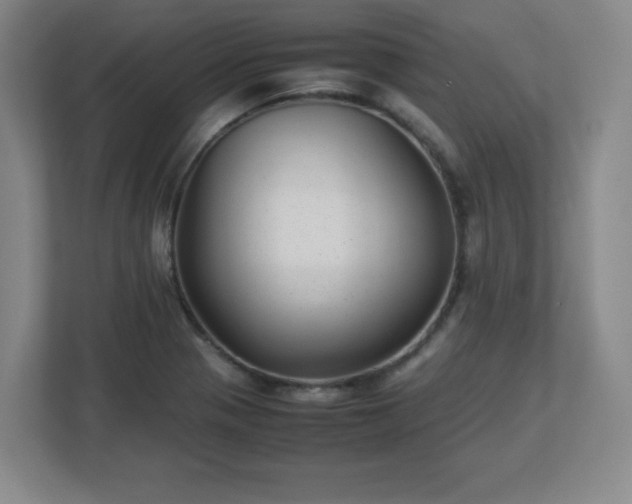 X0000113041321200909031304