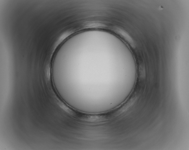 X0000113041322200909031304