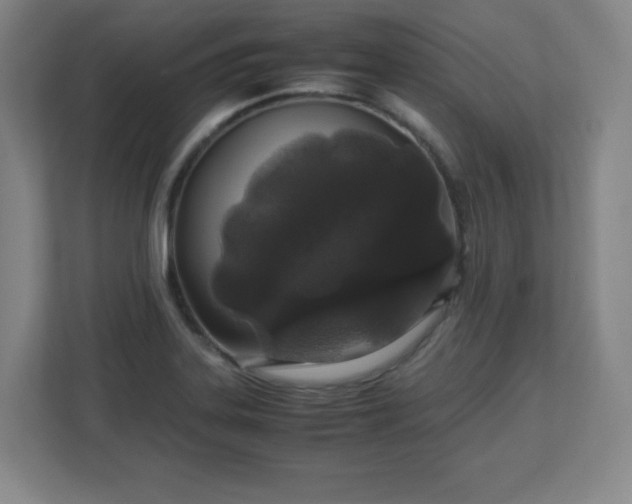 X0000113041323200909031304