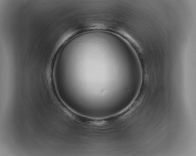 X0000113041325200909031304