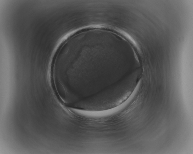 X0000113041327200909031304