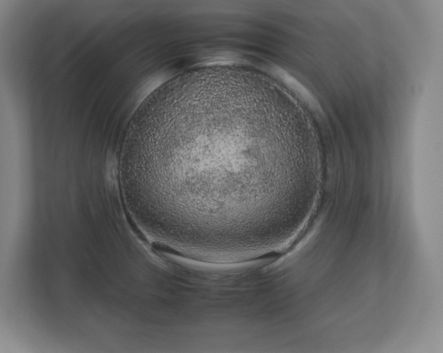 X0000113041329200909031304
