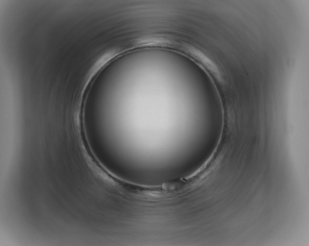 X0000113041330200909031304