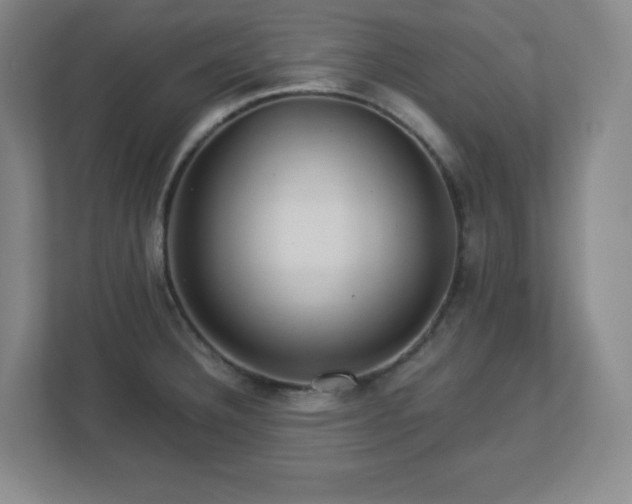 X0000113041332200909031304