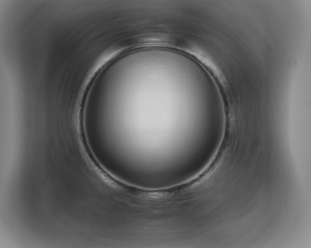 X0000113041333200909031304