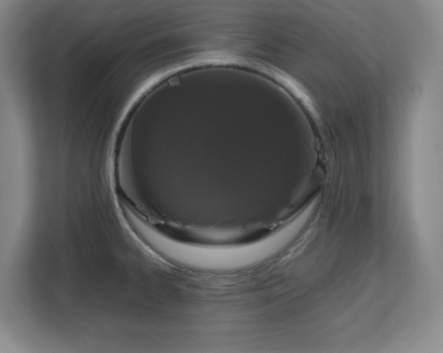 X0000113041334200909031304