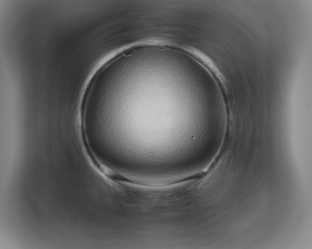 X0000113041335200909031304