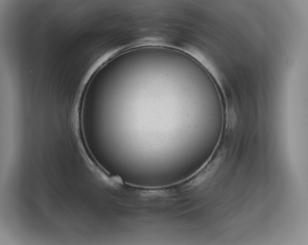 X0000113041341200909031304