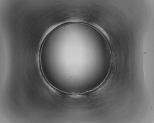 X0000113041343200909031304