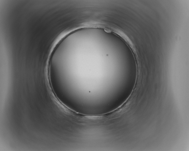 X0000113041344200909031304