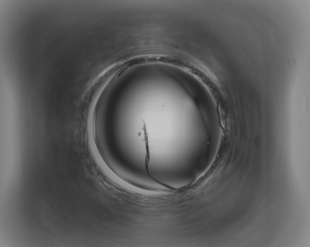 X0000113041352200909031303