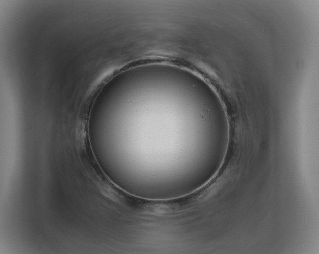 X0000113041355200909031303