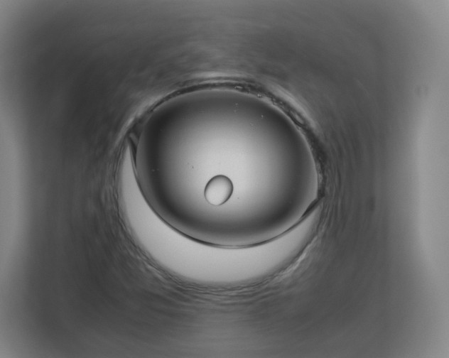 X0000113041357200909031303